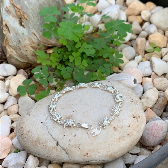 Sterling Silver Turtle Link Bracelet - Picture 1 of 8